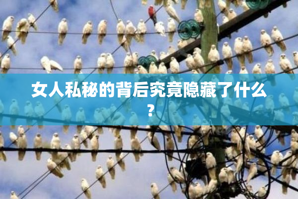 女人私秘的背后究竟隐藏了什么？