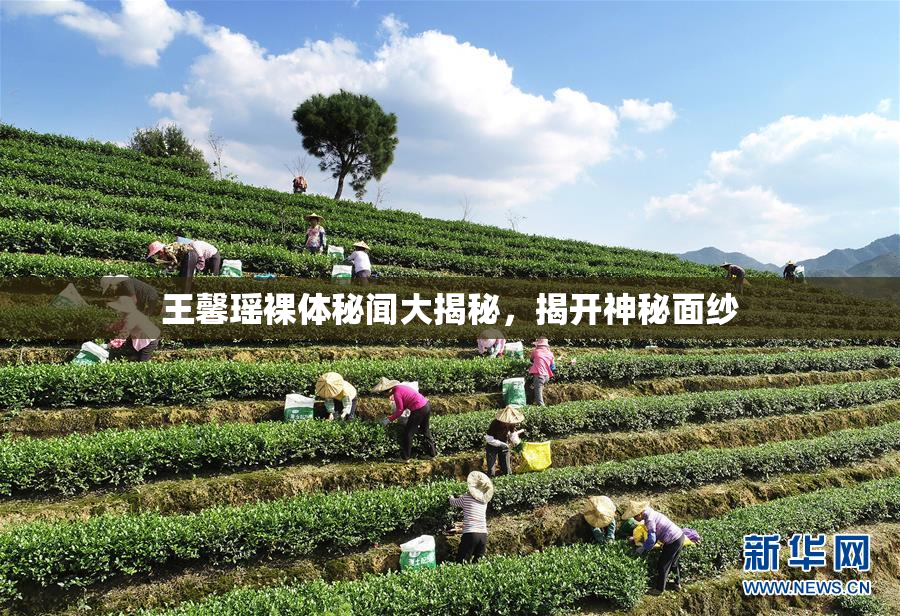王馨瑶裸体秘闻大揭秘，揭开神秘面纱