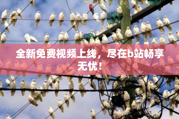 全新免费视频上线，尽在b站畅享无忧！
