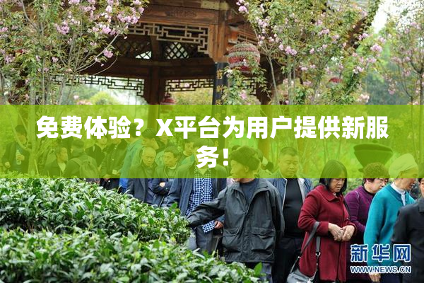 免费体验？X平台为用户提供新服务！