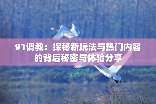 91调教：探秘新玩法与热门内容的背后秘密与体验分享