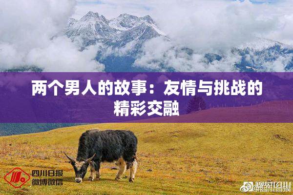 两个男人的故事：友情与挑战的精彩交融
