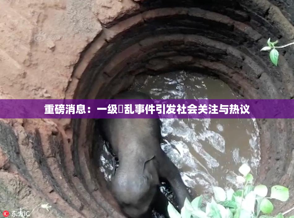 重磅消息：一级婬乱事件引发社会关注与热议