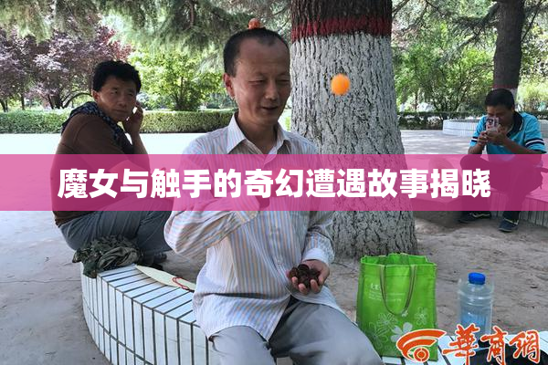 魔女与触手的奇幻遭遇故事揭晓