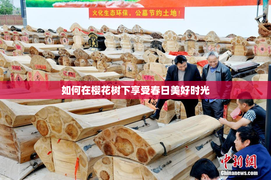 如何在樱花树下享受春日美好时光