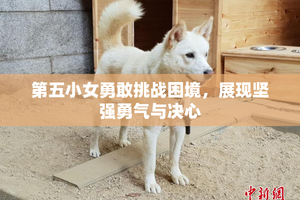 第五小女勇敢挑战困境，展现坚强勇气与决心