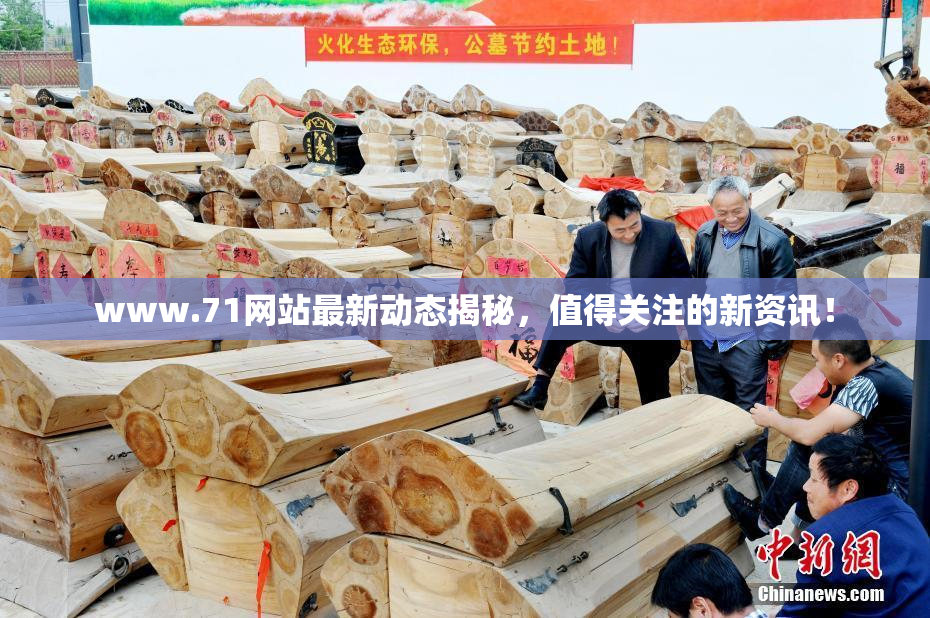 www.71网站最新动态揭秘，值得关注的新资讯！
