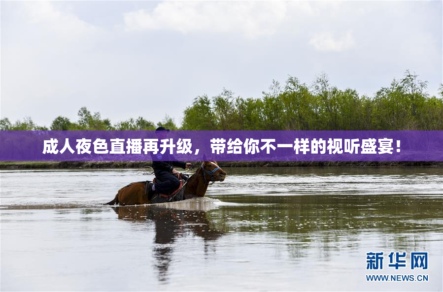 成人夜色直播再升级，带给你不一样的视听盛宴！