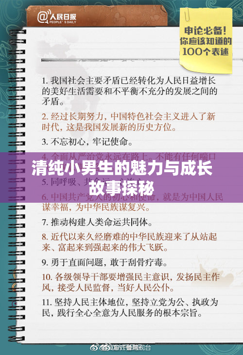 清纯小男生的魅力与成长故事探秘