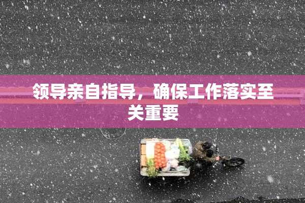 领导亲自指导，确保工作落实至关重要