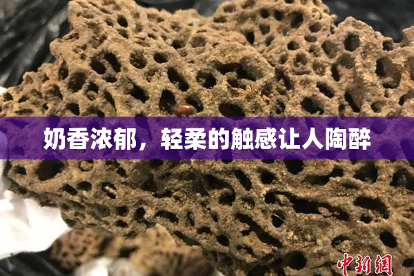 奶香浓郁，轻柔的触感让人陶醉