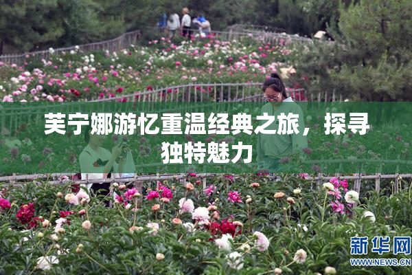 芙宁娜游忆重温经典之旅，探寻独特魅力