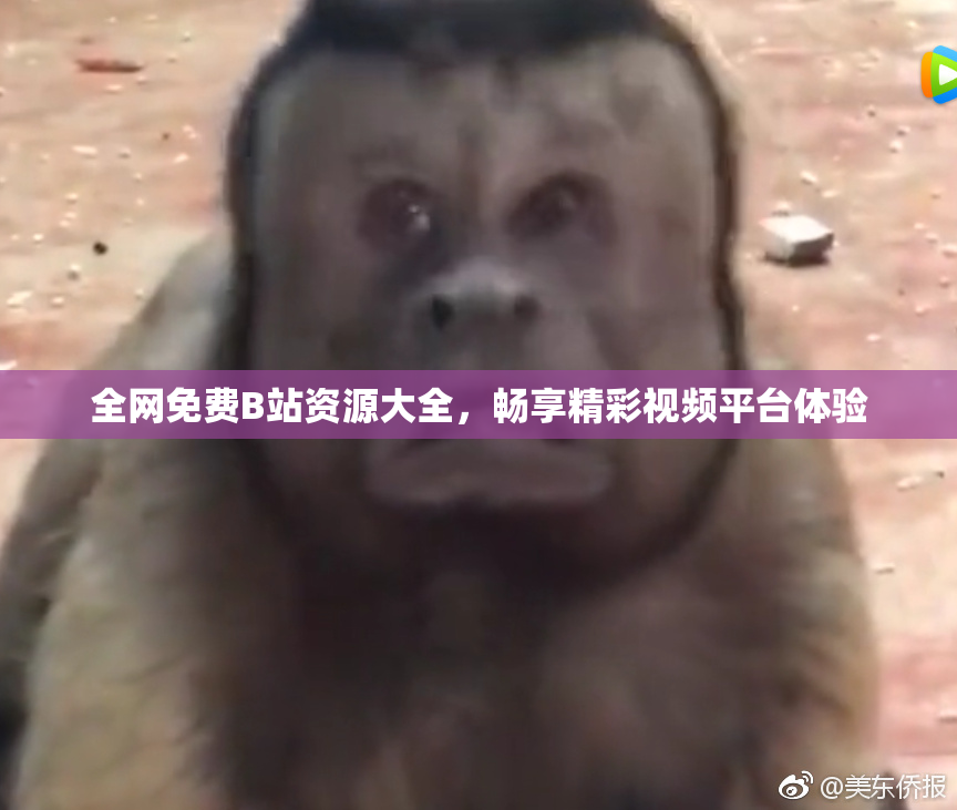 全网免费B站资源大全，畅享精彩视频平台体验