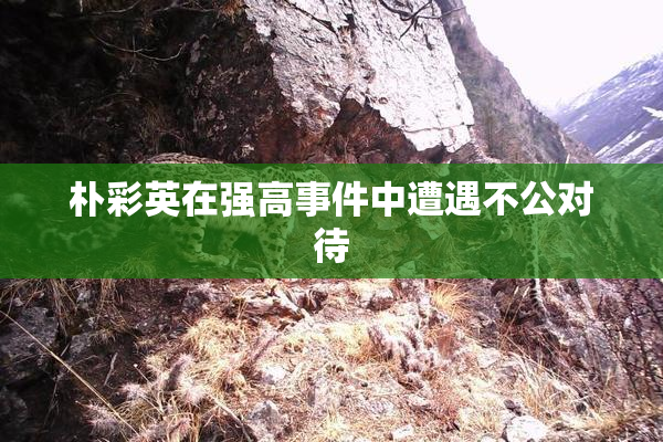 朴彩英在强高事件中遭遇不公对待