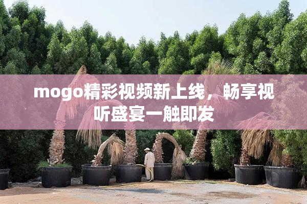 mogo精彩视频新上线，畅享视听盛宴一触即发