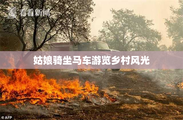 姑娘骑坐马车游览乡村风光