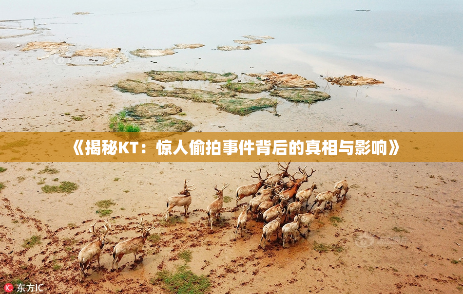 《揭秘KT：惊人偷拍事件背后的真相与影响》