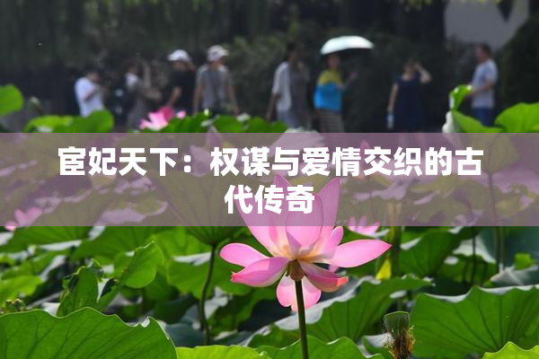 宦妃天下：权谋与爱情交织的古代传奇