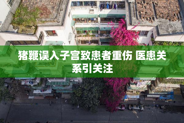 猪鞭误入子宫致患者重伤 医患关系引关注