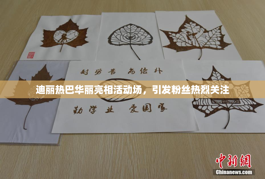 迪丽热巴华丽亮相活动场，引发粉丝热烈关注