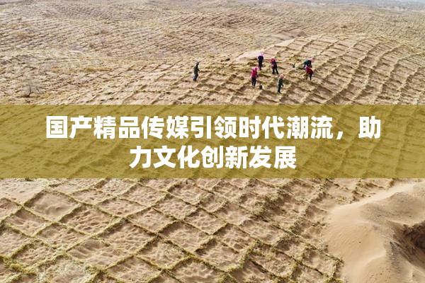 国产精品传媒引领时代潮流，助力文化创新发展