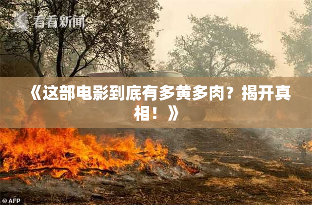 《这部电影到底有多黄多肉？揭开真相！》