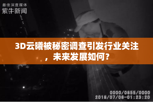 3D云曦被秘密调查引发行业关注，未来发展如何？