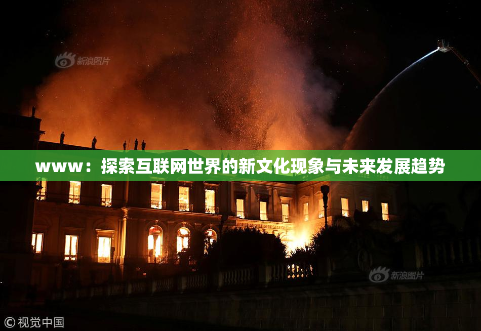 www：探索互联网世界的新文化现象与未来发展趋势