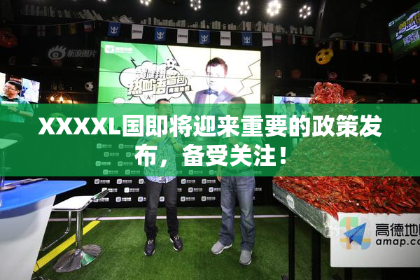 XXXXL国即将迎来重要的政策发布，备受关注！