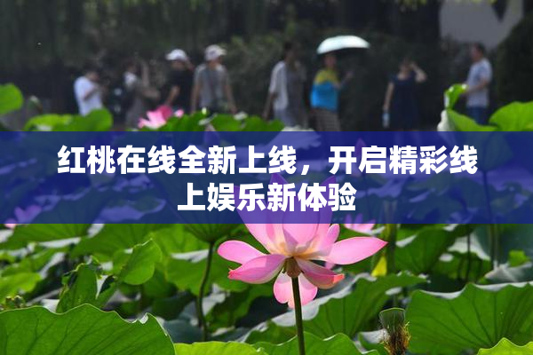 红桃在线全新上线，开启精彩线上娱乐新体验