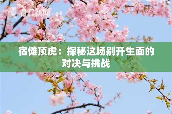 宿傩顶虎：探秘这场别开生面的对决与挑战