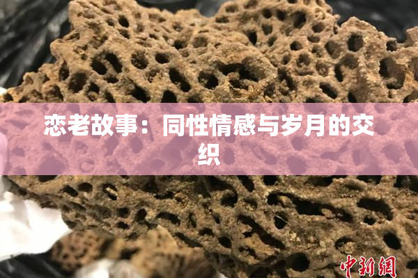 恋老故事：同性情感与岁月的交织