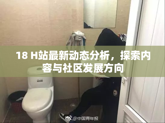 18 H站最新动态分析，探索内容与社区发展方向