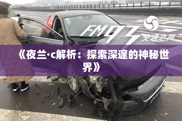 《夜兰·c解析：探索深邃的神秘世界》