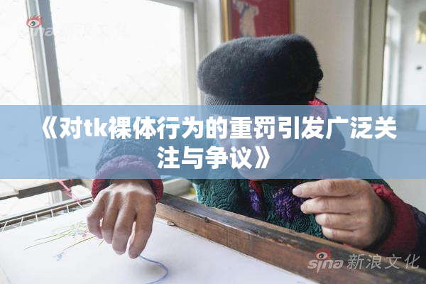 《对tk裸体行为的重罚引发广泛关注与争议》