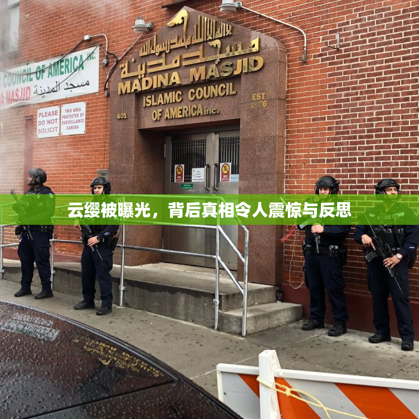云缨被曝光，背后真相令人震惊与反思