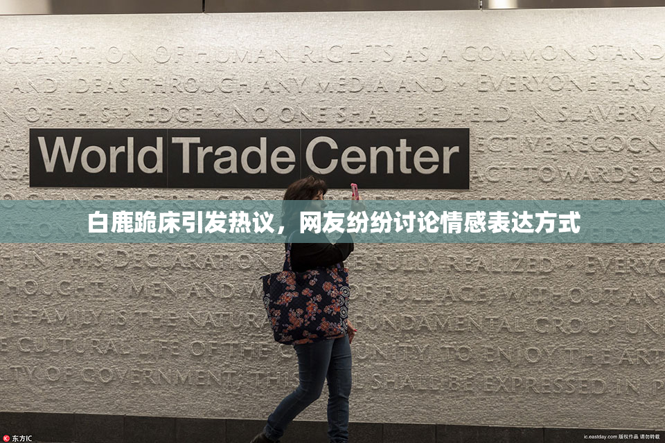 白鹿跪床引发热议，网友纷纷讨论情感表达方式