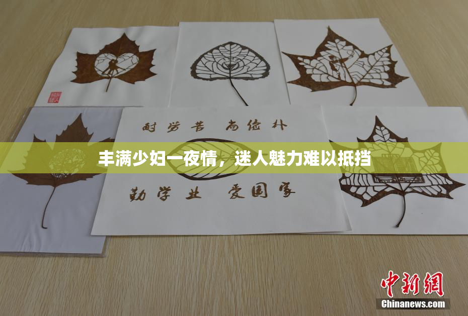 丰满少妇一夜情，迷人魅力难以抵挡