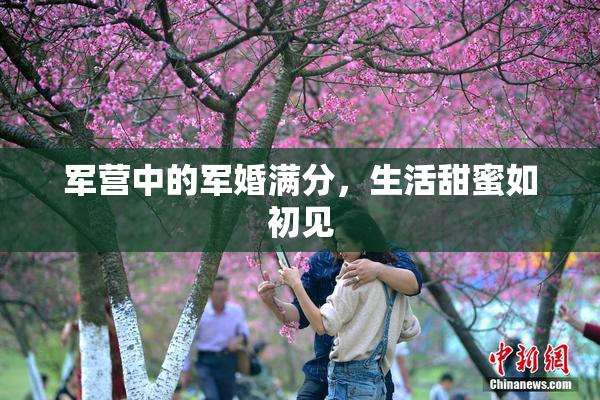 军营中的军婚满分，生活甜蜜如初见
