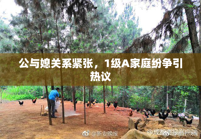 公与媳关系紧张，1级A家庭纷争引热议