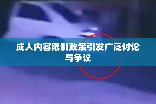 成人内容限制政策引发广泛讨论与争议