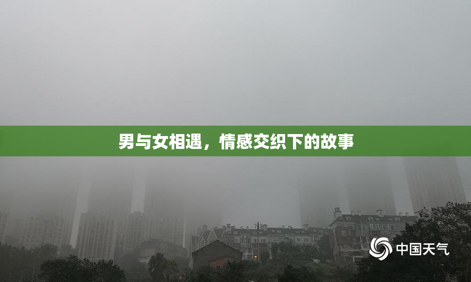 男与女相遇，情感交织下的故事