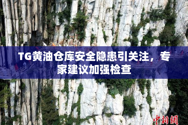 TG黄油仓库安全隐患引关注，专家建议加强检查
