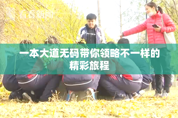 一本大道无码带你领略不一样的精彩旅程