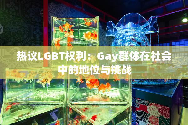 热议LGBT权利：Gay群体在社会中的地位与挑战