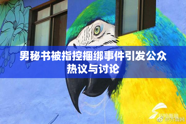 男秘书被指控捆绑事件引发公众热议与讨论