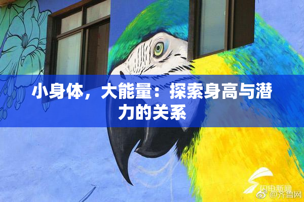 小身体，大能量：探索身高与潜力的关系