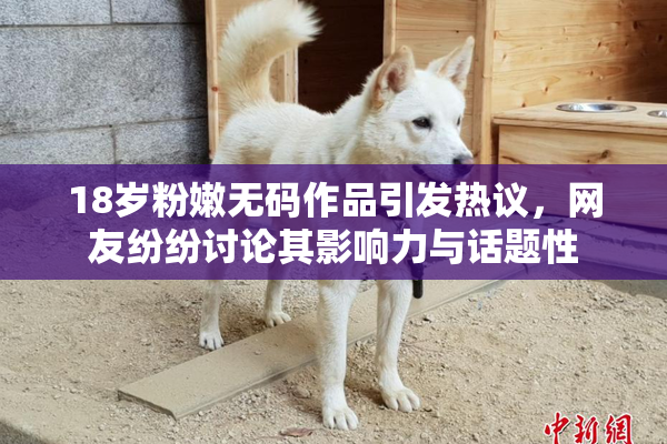 18岁粉嫩无码作品引发热议，网友纷纷讨论其影响力与话题性