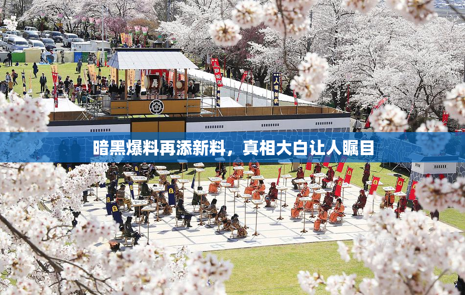 暗黑爆料再添新料，真相大白让人瞩目