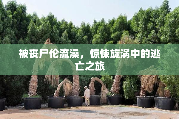 被丧尸伦流澡，惊悚旋涡中的逃亡之旅